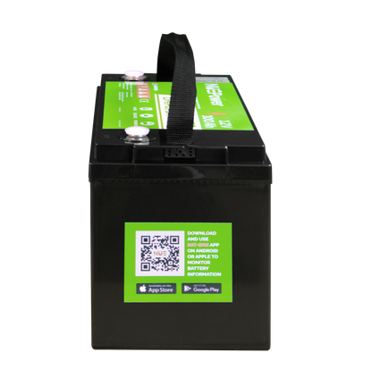 NUEPower 12V 100Ah UL Listed